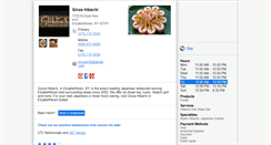 Desktop Screenshot of ginzahibachi.com